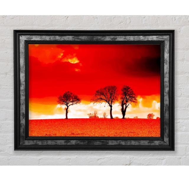 Red Sky Blaze - Print Bright Star Size: 21cm H x 42cm W x 8cm D on Productcaster.