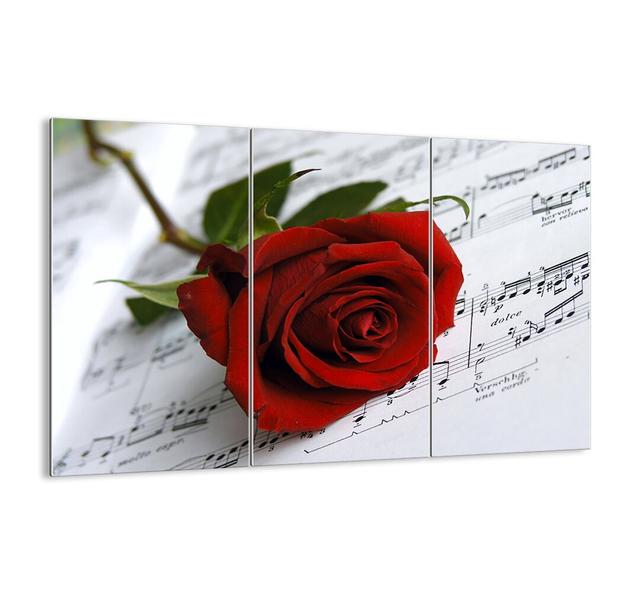 3-tlg. Glasbilder-Set - Fotografie „Music of Feelings in Scarlet” Ebern Designs Größe: 110 cm H x 165 cm x 1,8 cm T on Productcaster.