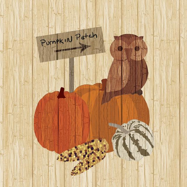 Pumpkin Patch Owl - Wrapped Canvas Print Brambly Cottage Size: 76cm H x 76cm W x 3.8cm D on Productcaster.