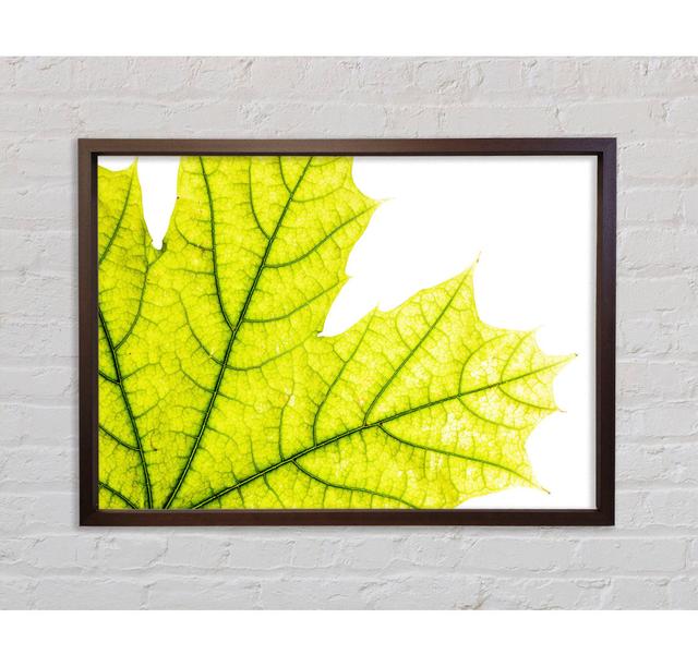 Magnificent Leaf - Print Ebern Designs Size: 100cm H x 141.4cm W x 3.3cm D, Format: Walnut Framed Canvas on Productcaster.