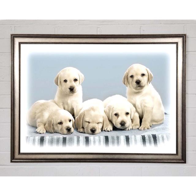 Cute Puppies - Print Brayden Studio Size: 84.1cm H x 118.9cm W x 1.5cm D on Productcaster.