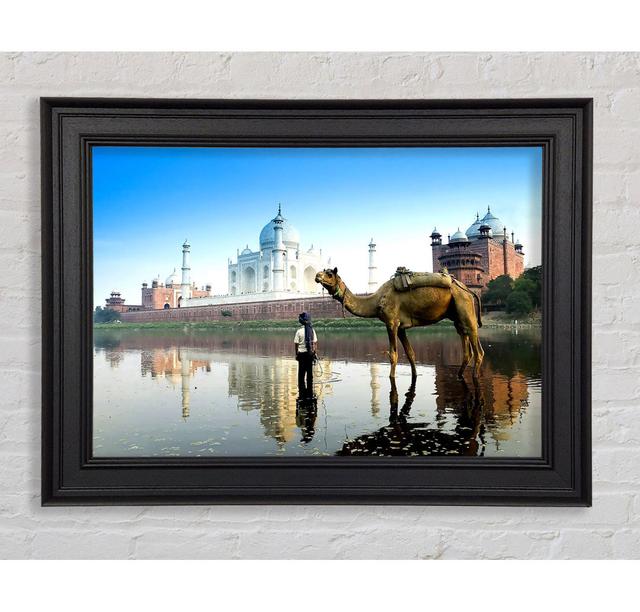 Yamuna River Agra India - Single Picture Frame Art Prints Gracie Oaks Size: 84.1cm H x 142.2cm W x 8cm D on Productcaster.