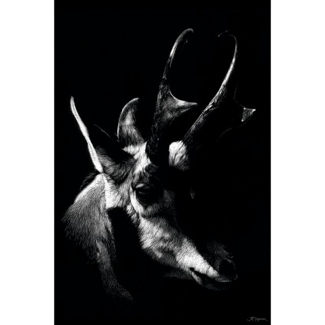 Wildlife Scratchboards II by Julie T. Chapman - Wrapped Canvas Photograph Alpen Home Size: 91cm H x 61cm W on Productcaster.