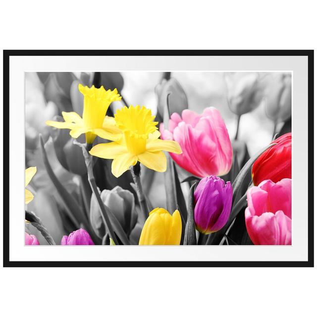 Gerahmtes Poster Schöne Narzissen mit Tulpen East Urban Home Größe: 70 cm H x 100 cm B on Productcaster.