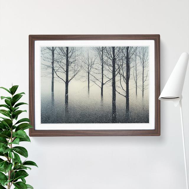 Progressive Winter Forest - Single Picture Frame Print Alpen Home Frame Colour: Walnut Framed, Size: 46cm H x 64cm W x 2cm D on Productcaster.