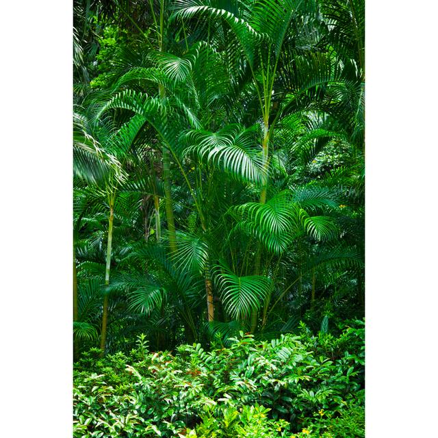 Green Tropical Plants by Enjoynz - Print 17 Stories Size: 122cm H x 81cm W on Productcaster.