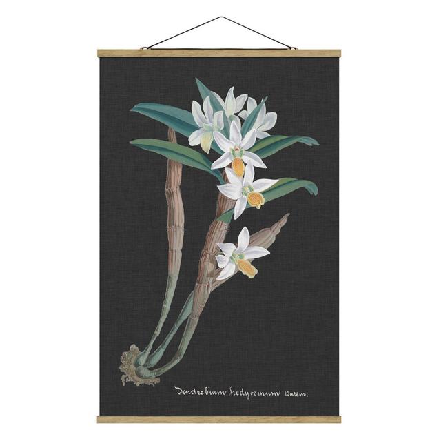 Wandbild White Orchid on Linen I Sommerallee Größe: 75 cm H x 50 cm B x 0,3 cm T on Productcaster.