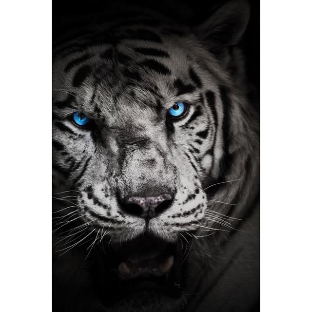 Yanchep White Tiger - Print 17 Stories Size: 122cm H x 81cm W x 3.8cm D on Productcaster.