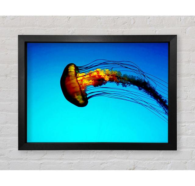 Ocean Jellyfish Framed Print Highland Dunes Size: 84.1cm H x 118.9cm W x 3.4cm D on Productcaster.