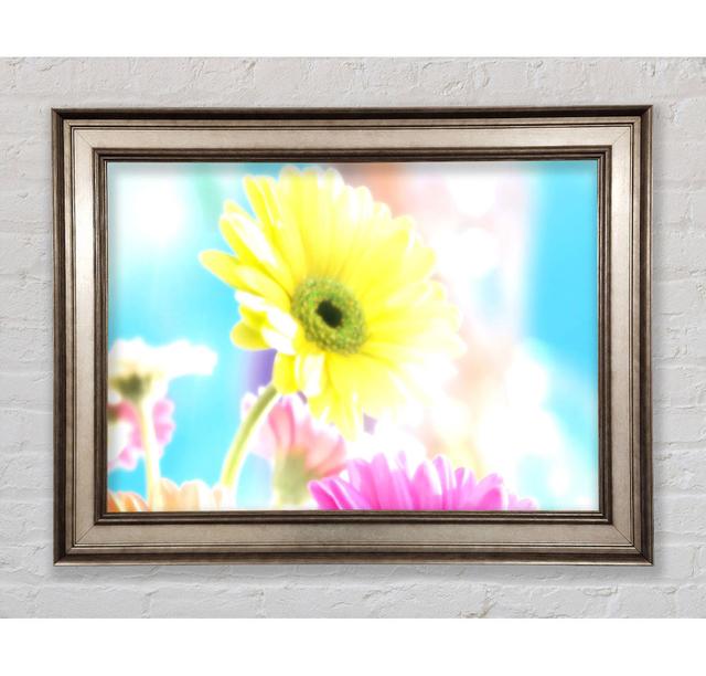 Colourful Summer Rainbow Flowers Framed Print Bright Star Size: 42cm H x 59.7cm W on Productcaster.