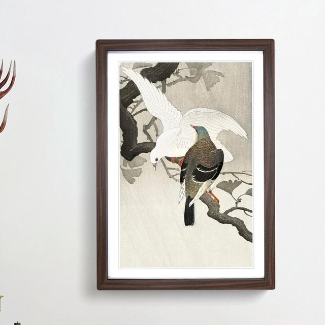 Two Pigeons on a Branch by Ohara Koson - Picture Frame Painting Print East Urban Home Frame Option: Walnut Framed, Size: 65cm H x 48cm W x 2cm D on Productcaster.