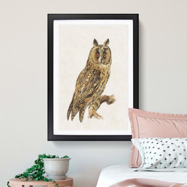 Long-Eared Owl by Von Wright - Picture Frame Painting Print East Urban Home Frame Option: Black, Size: 60cm H x 40cm W x 2cm D on Productcaster.