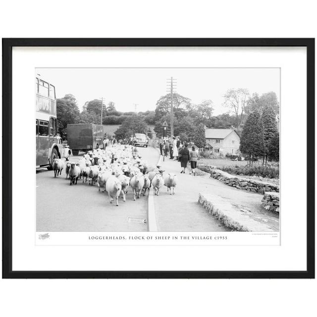 'Loggerheads, Flock of Sheep in the Village C1955' by Francis Frith - Picture Frame Photograph Print on Paper The Francis Frith Collection Size: 45cm on Productcaster.