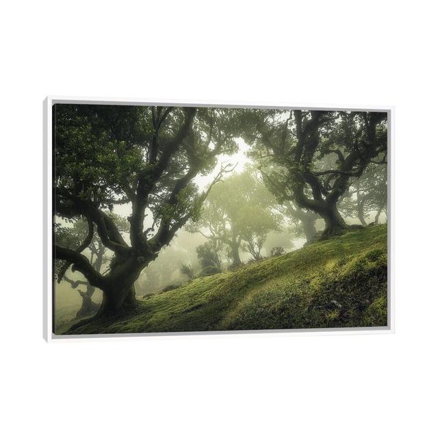 Enchanted Forest by Frans Van Der - Floater Frame Print on Canvas Union Rustic Size: 45.72cm H x 66.04cm W x 3.81cm D, Format: White Floater Frame on Productcaster.