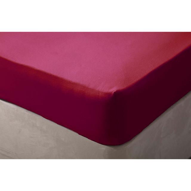 Brushed Cotton Range Flannel Fitted Sheet Belledorm Size: Single (3'), Colour: Red, Depth: 15" Extra Deep on Productcaster.