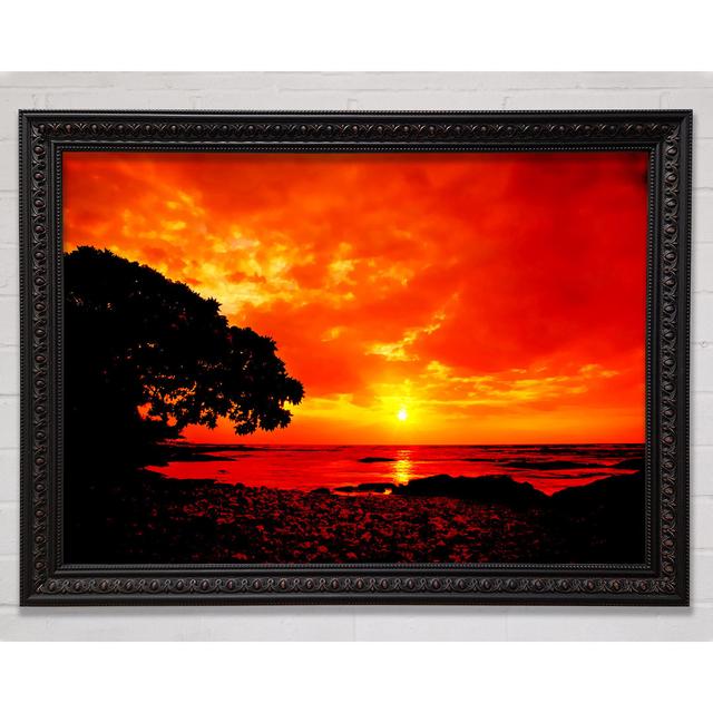 Atemberaubende Orange Skies Over Ocean Gerahmter Druck Wandkunst Haus am Meer Größe: 21.1cm H x 29.7cm W x 3cm D, Format: Schwarz/Walnuss Gerahmtes Pa on Productcaster.