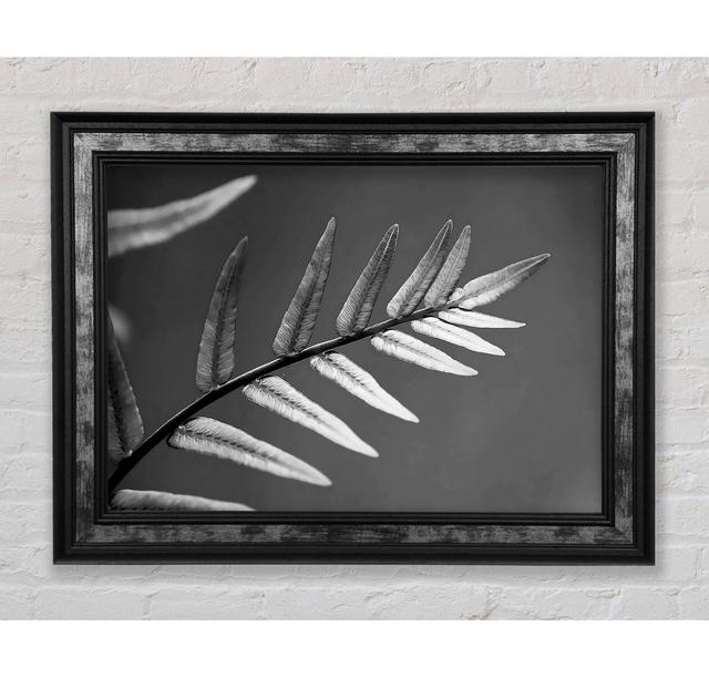 Grey Leaves - Single Picture Frame Art Prints Bright Star Size: 42cm H x 59.7cm W x 8cm D on Productcaster.