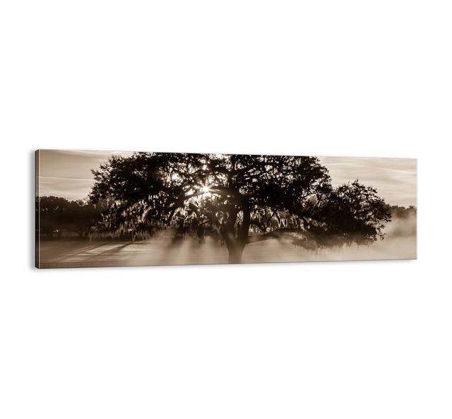 Good News Tree - No Frame Print on Canvas Brayden Studio Size: 50cm H x 160cm W x 1.8cm D on Productcaster.