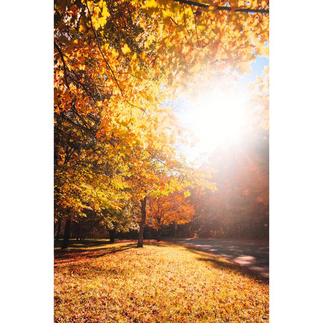 Autumn Park by Franckreporter - No Frame Print on Canvas Latitude Run Size: 76cm H x 51cm W on Productcaster.