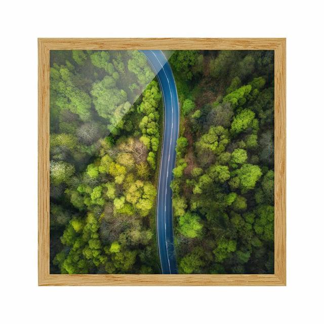 Aerial View Asphalt Road in Forest - Picture Frame Photograph Union Rustic Size: 50cm H x 50cm W x 2cm D, Frame Option: Brown Framed on Productcaster.