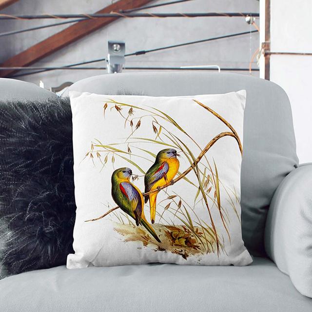 Grass-Parakeets by Elizabeth Gould Cushion with Filling East Urban Home Size: 55cm H x 55cm W x 20cm D, Backing Colour: White on Productcaster.