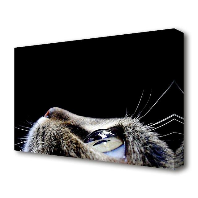 'Cat Eyes Wildlife' Photographic Print on Canvas East Urban Home Size: 50.8 cm H x 81.3 cm W on Productcaster.