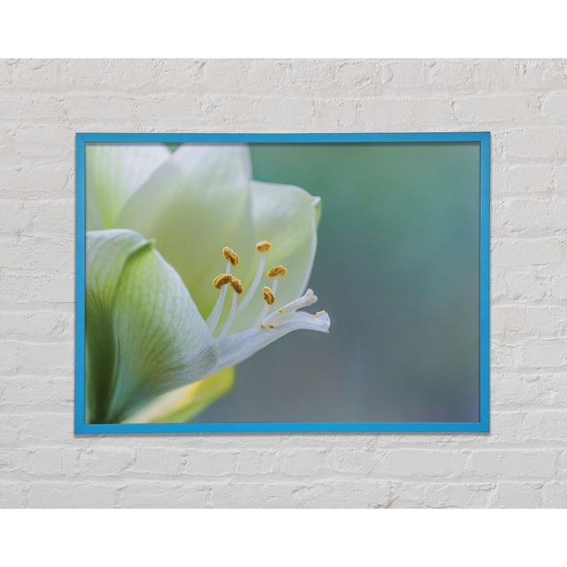 White Flower with Pollen - Single Picture Frame Art Prints Brayden Studio Size: 42cm H x 59.7cm W on Productcaster.