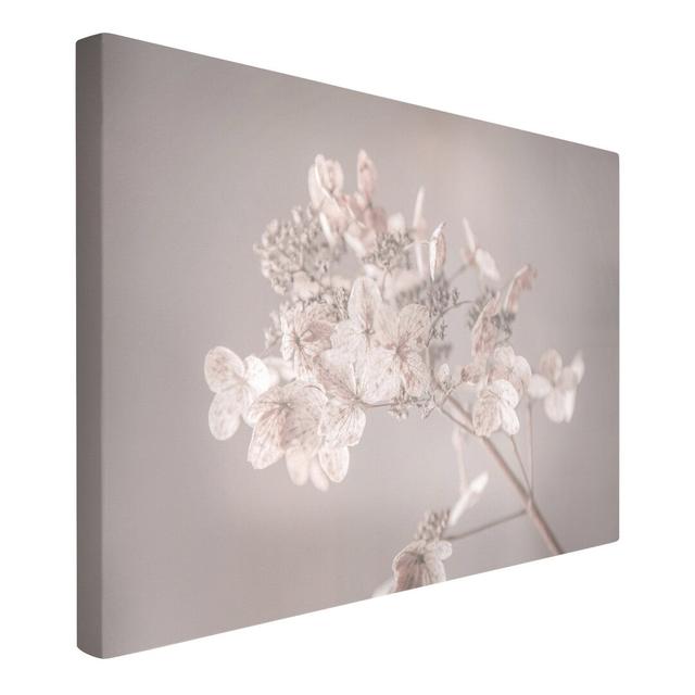 Delicate White Hydrangea by Monika Strigel - Wrapped Canvas Photograph Ebern Designs Size: 60cm H x 90cm W, Format: 260g/m² canvas on Productcaster.