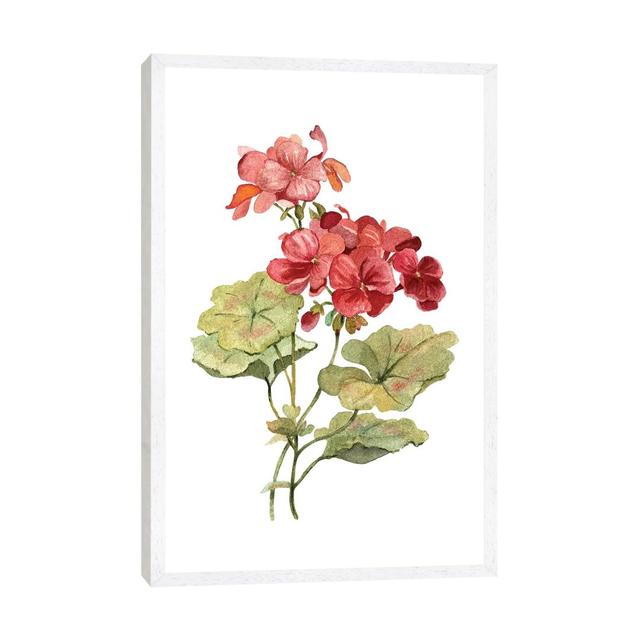 Scarlet Geranium by Carol Robinson - Painting Print on Canvas Ebern Designs Size: 101.6cm H x 66.04cm W x 3.81cm D, Format: White Framed on Productcaster.