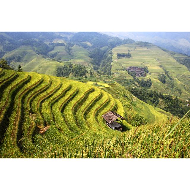 Guilin Paddy-Field by Nicoinchina - Wrapped Canvas Art Prints 17 Stories Size: 51cm H x 76cm W x 3.8cm D on Productcaster.