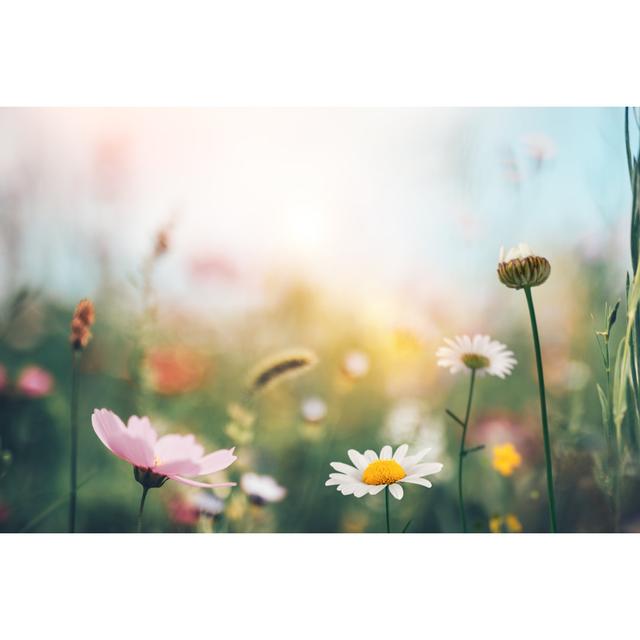 Green Meadow With Colorful Flowers. by Borchee - No Frame Art Prints on Canvas 17 Stories Size: 30cm H x 46cm W on Productcaster.