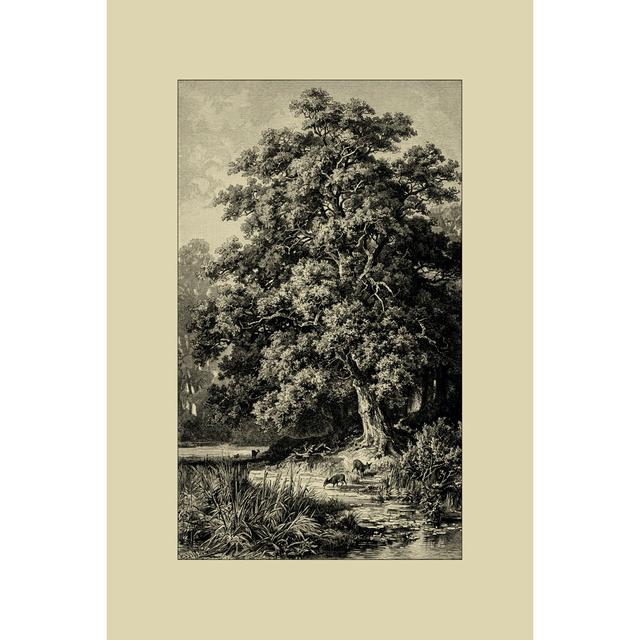 Oak Tree - Wrapped Canvas Art Prints Union Rustic Size: 46cm H x 30cm W x 3.8cm D on Productcaster.