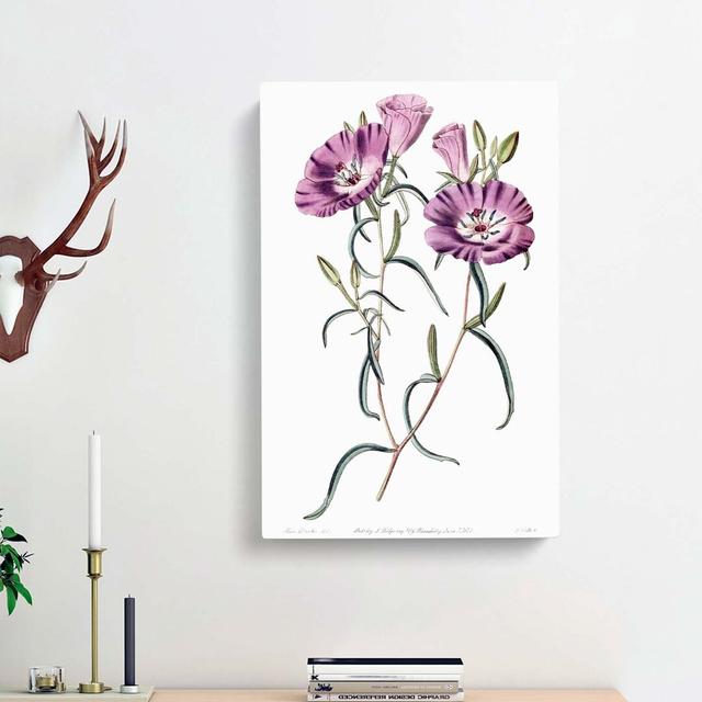 Purple Evening Primrose Flowers - Wrapped Canvas Painting Pint East Urban Home Size: 50cm H x 35cm W x 3cm D on Productcaster.