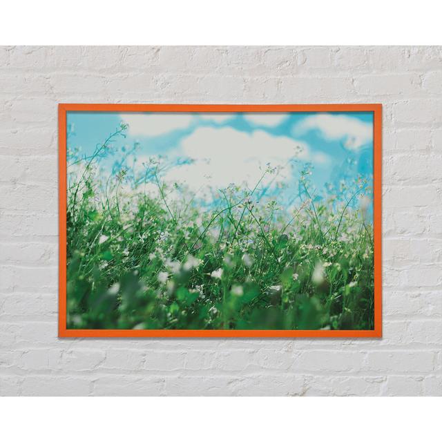 Wild Flowers in the Spring Meadow - Single Picture Frame Art Prints Rosalind Wheeler Size: 59.7cm H x 84.1cm W x 2cm D on Productcaster.