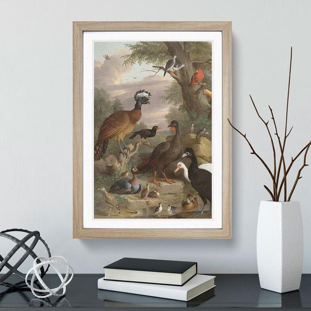 Collection of Birds Vol.1 by Melchior D'hondecoeter - Picture Frame Painting East Urban Home Size: 36cm H x 27cm W x 2cm D, Frame Option: Oak on Productcaster.