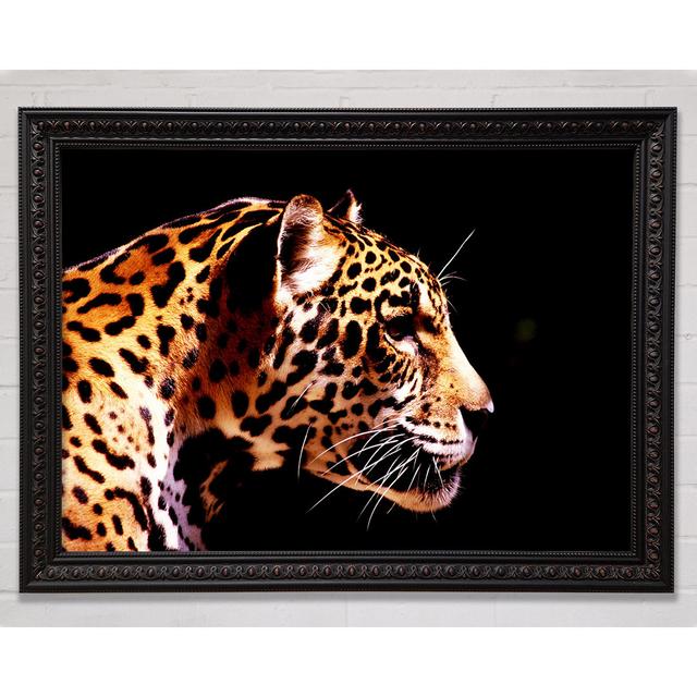 Single Picture Frame Art Prints Bright Star Size: 21cm H x 29.7cm W on Productcaster.