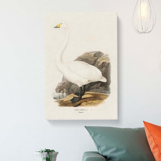 Whooper Swan by Von Wright - Wrapped Canvas Painting Print East Urban Home Size: 50cm H x 35cm W x 3cm D on Productcaster.