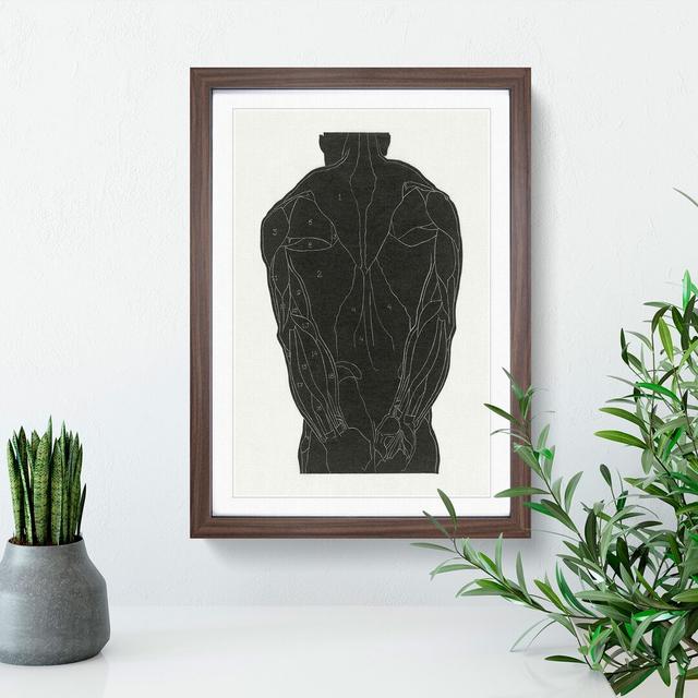 Anatomical Study of a Man Vol.5 by Reijer Stolk - Picture Frame Painting East Urban Home Size: 90cm H x 65cm W x 2cm D, Frame Option: Walnut on Productcaster.