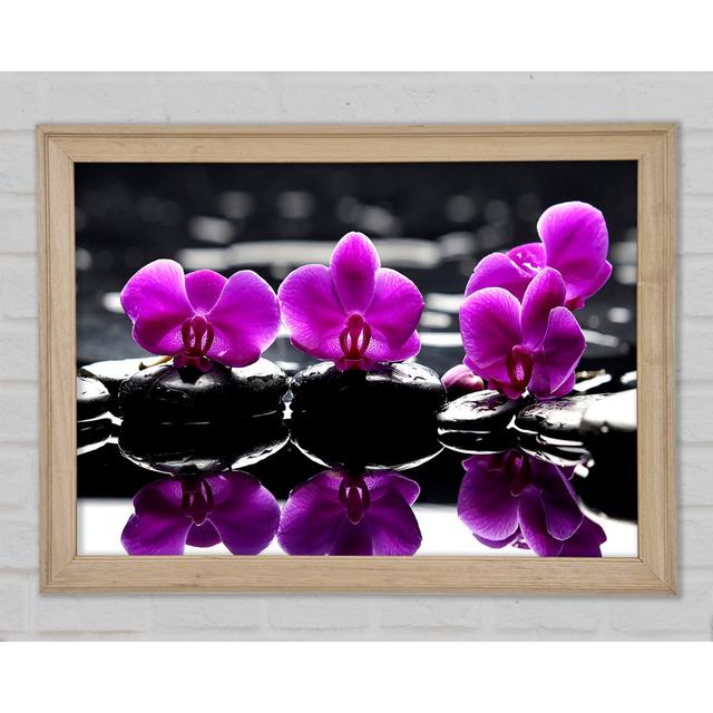 Trio Of Orchids - Print Ebern Designs Size: 29.7cm H x 42cm W x 1.5cm D on Productcaster.