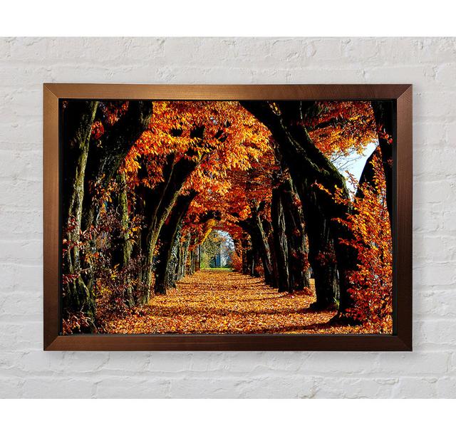 Beautiful Path Framed Print Union Rustic Size: 84.1cm H x 118.9cm W on Productcaster.