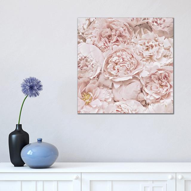 Flowers Peony Blush Square by Monika Strigel - Wrapped Canvas Photograph Latitude Run Size: 45.72cm H x 45.72cm W x 1.91cm D on Productcaster.