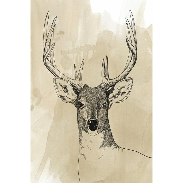 Burnished Buck II by Grace Popp - Wrapped Canvas Painting Alpen Home Size: 122cm H x 81cm W on Productcaster.