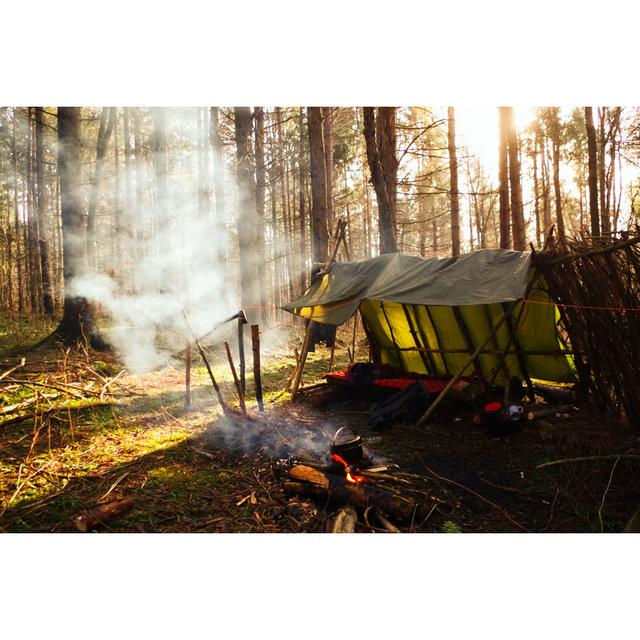 Campfire in Forest by James Mahan - Wrapped Canvas Photograph Alpen Home Size: 20cm H x 30cm W on Productcaster.