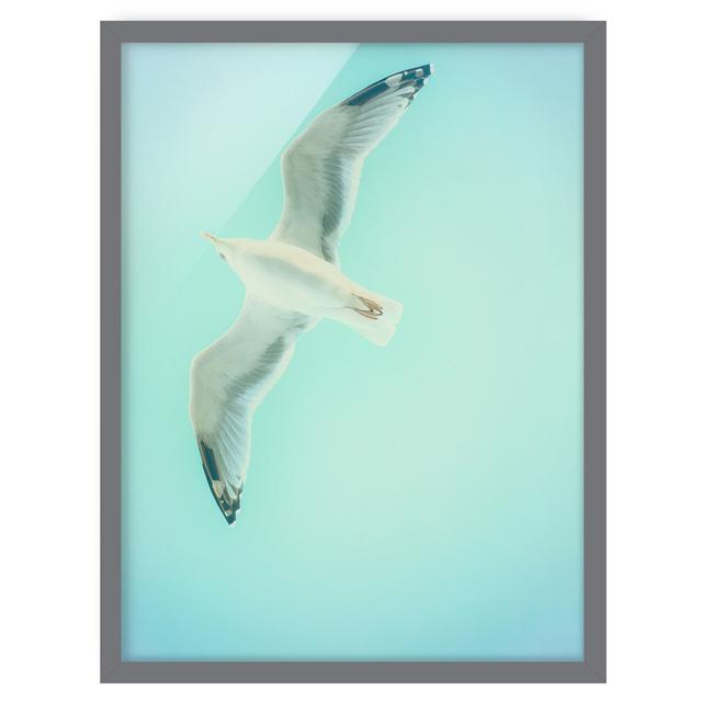 Picture With Frame - Blue Sky With Seagull - Portrait 4:3 Highland Dunes Size: 55cm H x 40cm W x 2cm D, Frame Option: Grey on Productcaster.