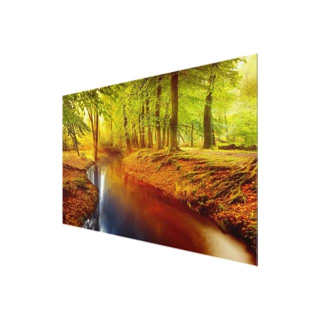 Autumn Forest - Photograph Print on Glass East Urban Home Size: 60 cm H x 90 cm W on Productcaster.