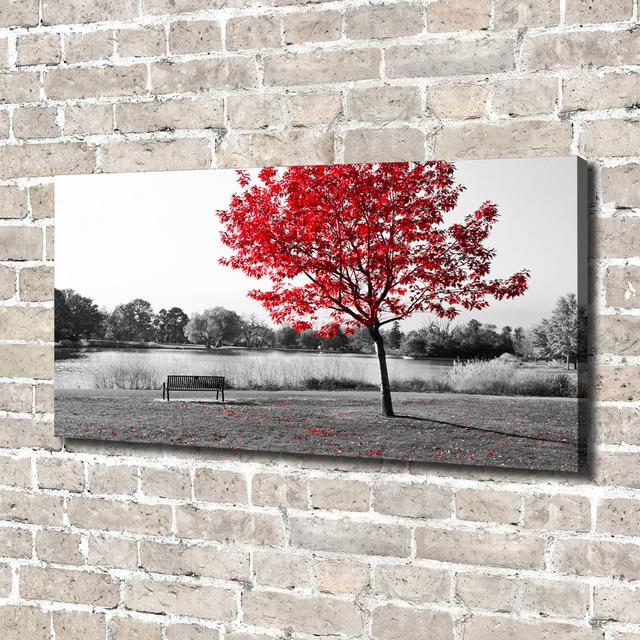 Red Tree - Wrapped Canvas Art Prints Rosalind Wheeler on Productcaster.