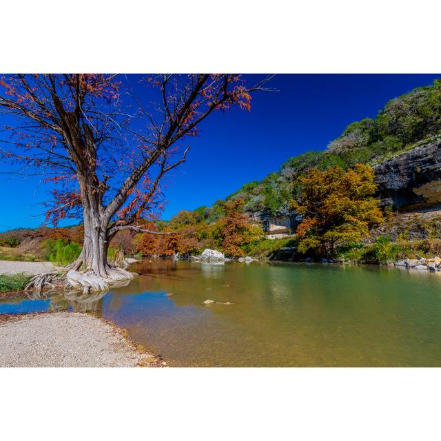 Fall Foliage, Guadalupe River - Wrapped Canvas Print Alpen Home Size: 51cm H x 76cm W x 3.8cm D on Productcaster.