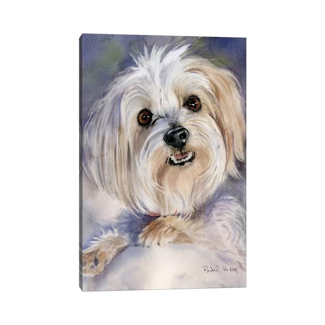 Maltese Portrait Rachel Varner by Rachel Parker - Painting Print on Canvas Ebern Designs Format: Wrapped Canvas, Size: 66.04cm H x 45.72cm W x 1.91cm on Productcaster.