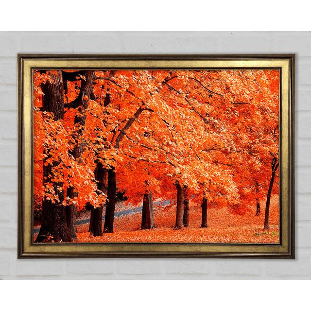 BGUC9917 - Single Picture Frame Art Prints Ophelia & Co. Size: 29.7cm H x 42cm W x 1.5cm D on Productcaster.