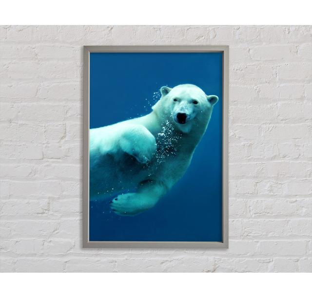 Polar Bear Bubbles - Single Picture Frame Art Prints on Canvas Bright Star Size: 84.1cm H x 59.7cm W x 3.3cm D on Productcaster.